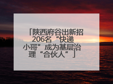 陕西府谷出新招 206名“快递小哥”成为基层治理“合伙人”